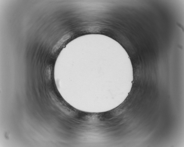 X0000103500120200810101055