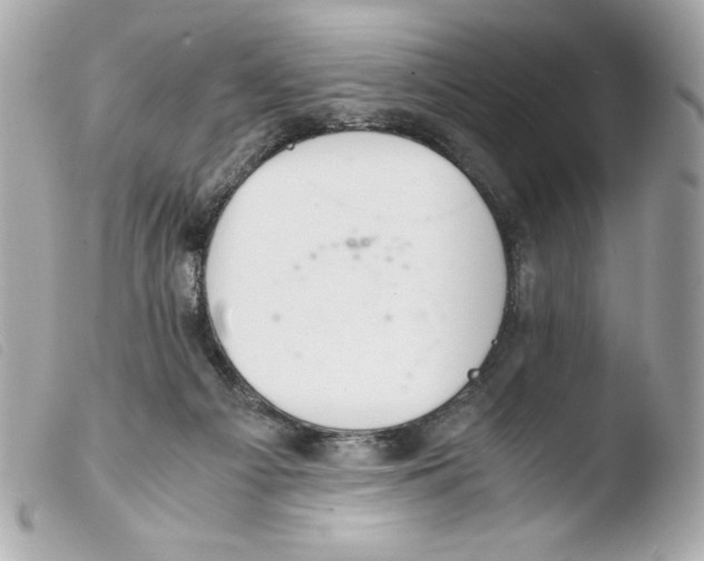 X0000103500121200810101055