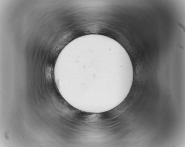 X0000103500122200810101055