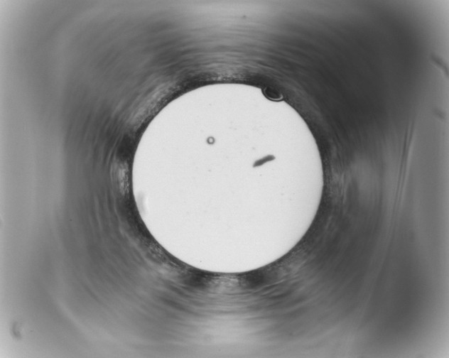 X0000103500123200810101055