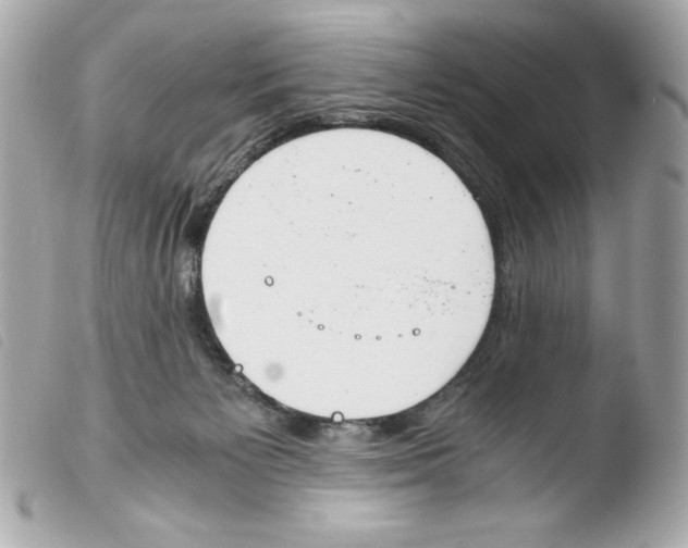 X0000103500125200810101055