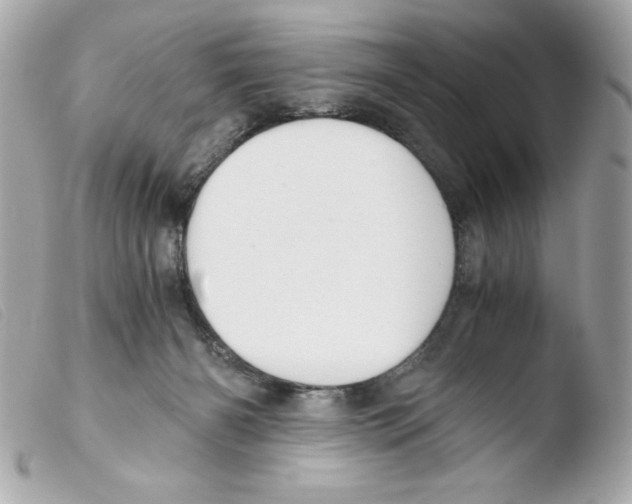 X0000103500126200810101055