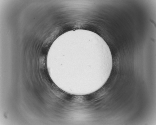 X0000103500127200810101055