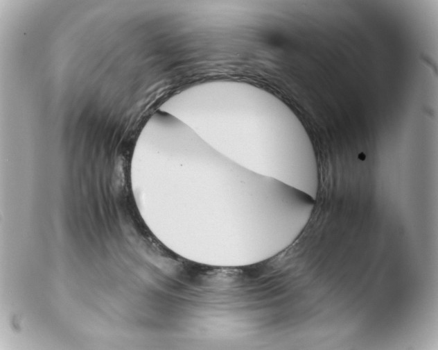 X0000103500128200810101055