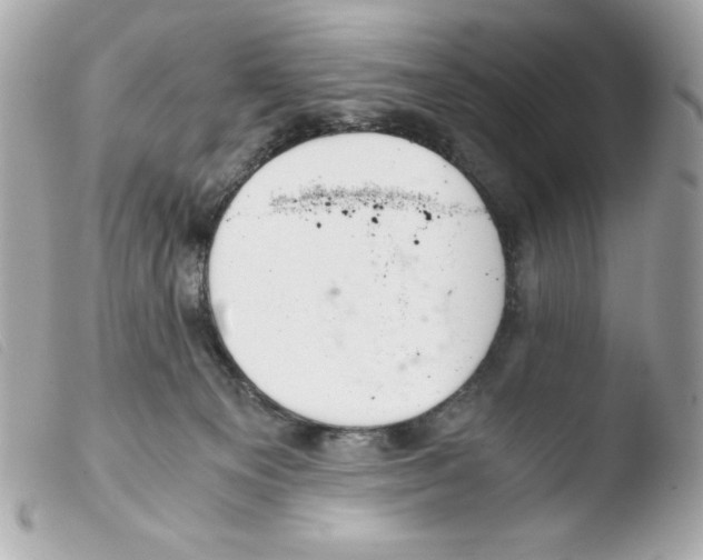 X0000103500129200810101055