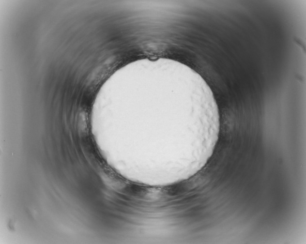 X0000103500130200810101055