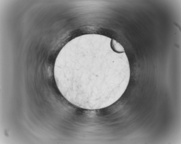 X0000103500131200810101055