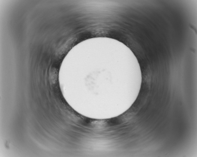 X0000103500133200810101055