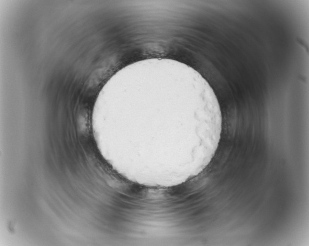 X0000103500134200810101055