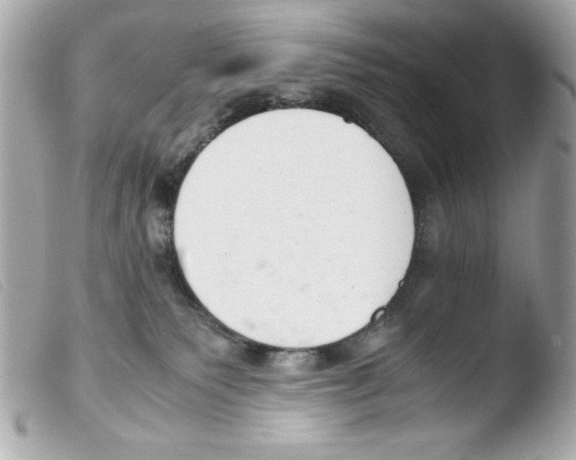 X0000103500135200810101055