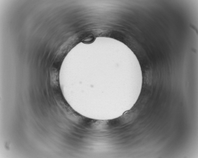 X0000103500138200810101055