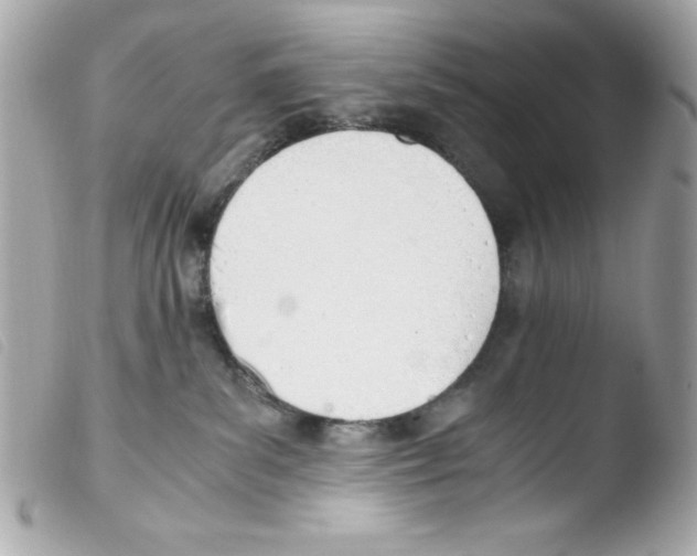 X0000103500139200810101055