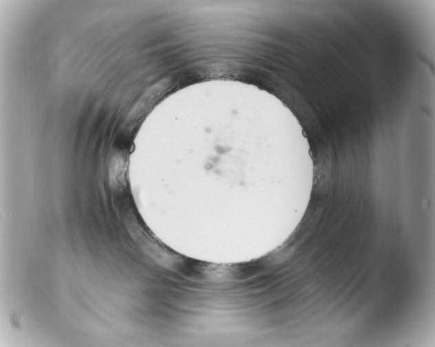 X0000103500142200810101055