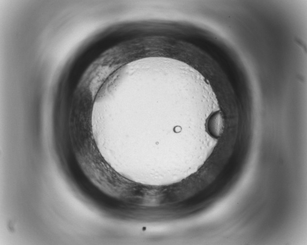 X0000103500143200810101055