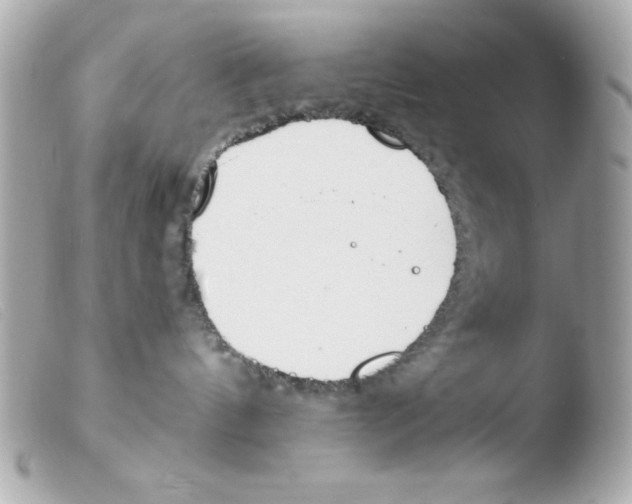 X0000103500144200810101055