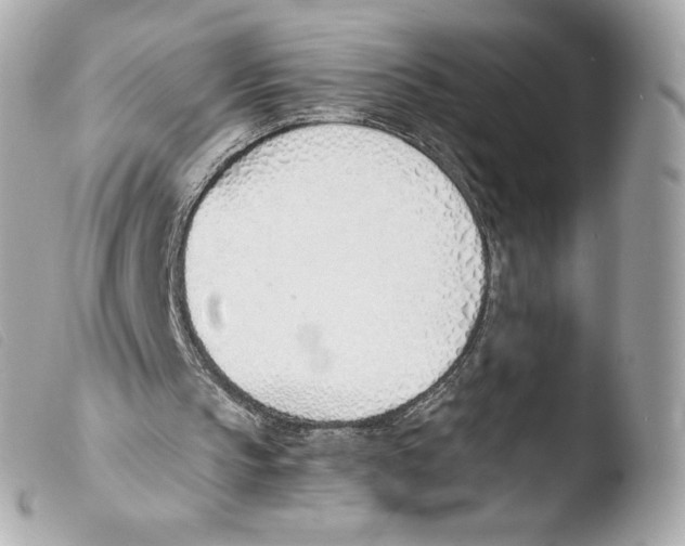 X0000103500145200810101054