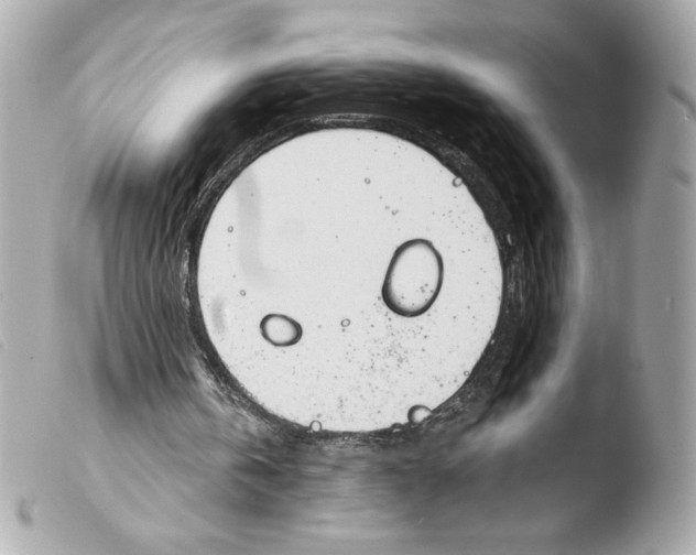 X0000103500146200810101054