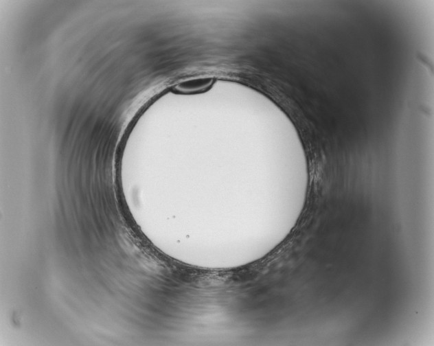 X0000103500148200810101054