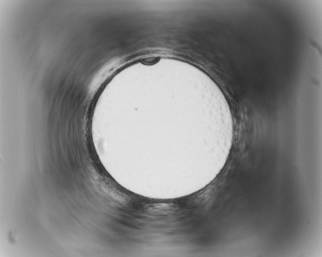 X0000103500151200810101054