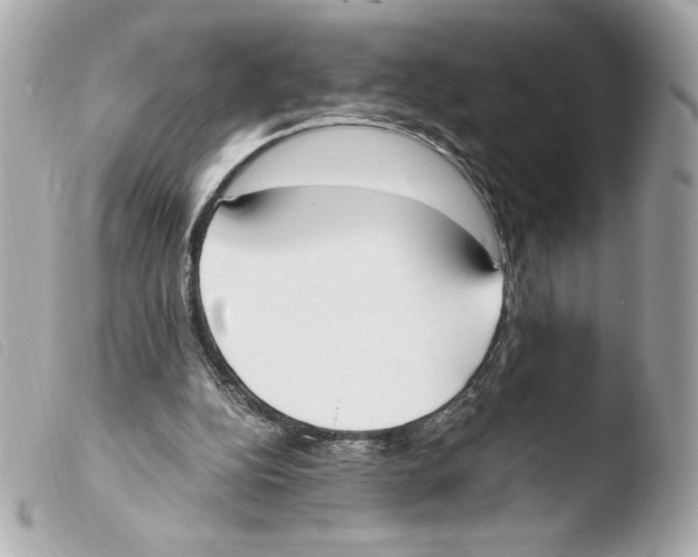 X0000103500152200810101054