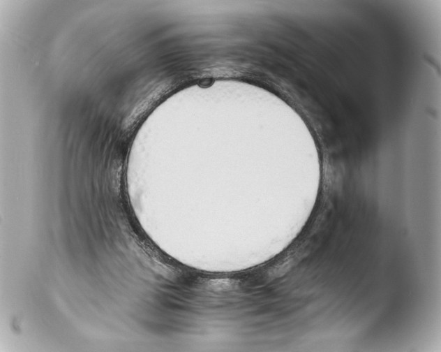 X0000103500153200810101054