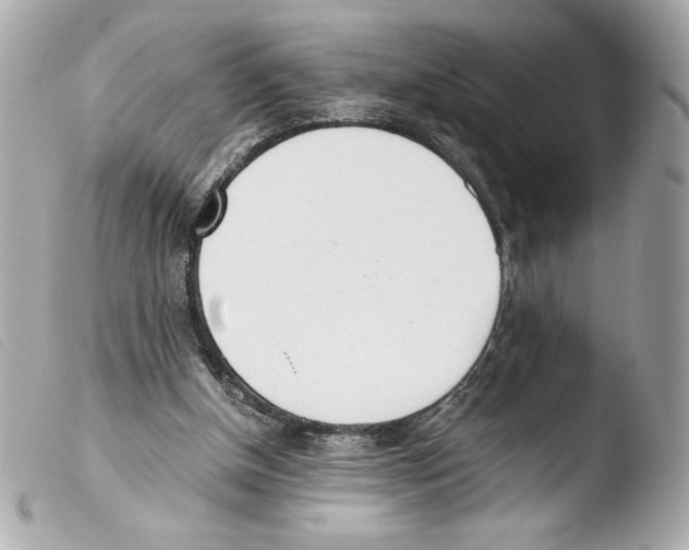 X0000103500154200810101054