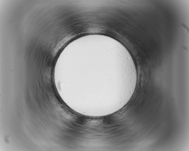 X0000103500155200810101054