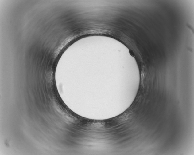 X0000103500156200810101054