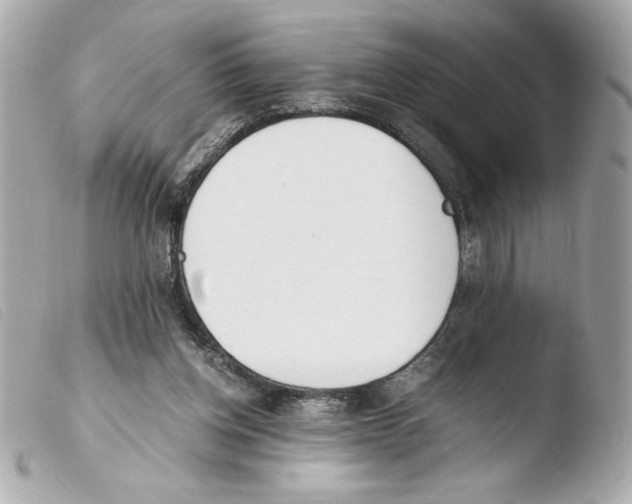 X0000103500158200810101054