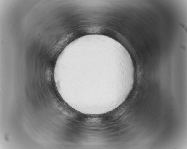 X0000103500161200810101054