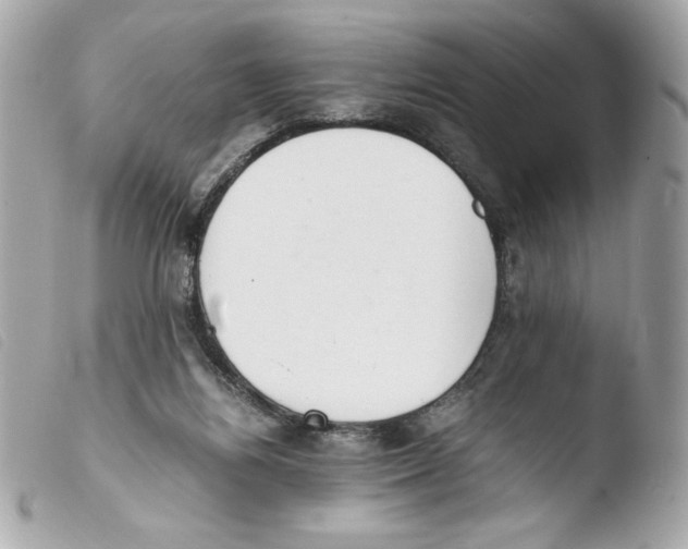 X0000103500164200810101054