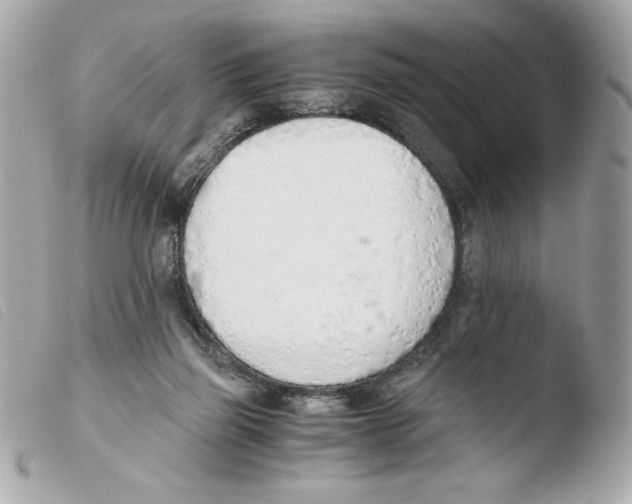 X0000103500165200810101054