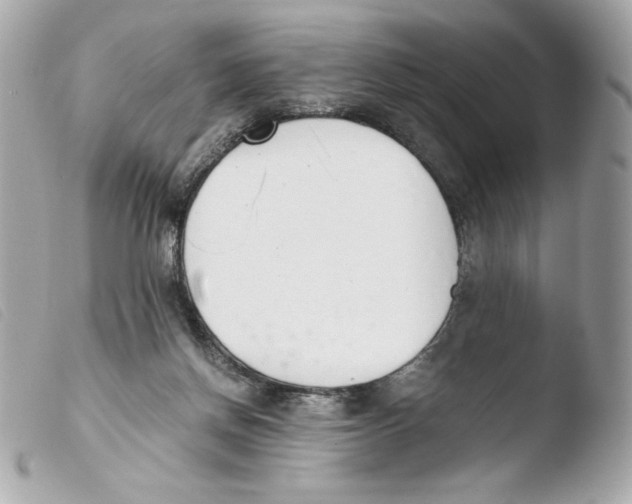 X0000103500166200810101054