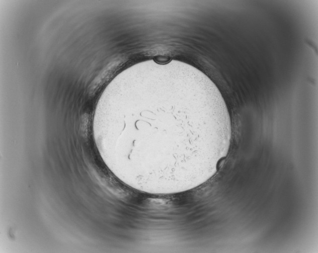 X0000103500167200810101054