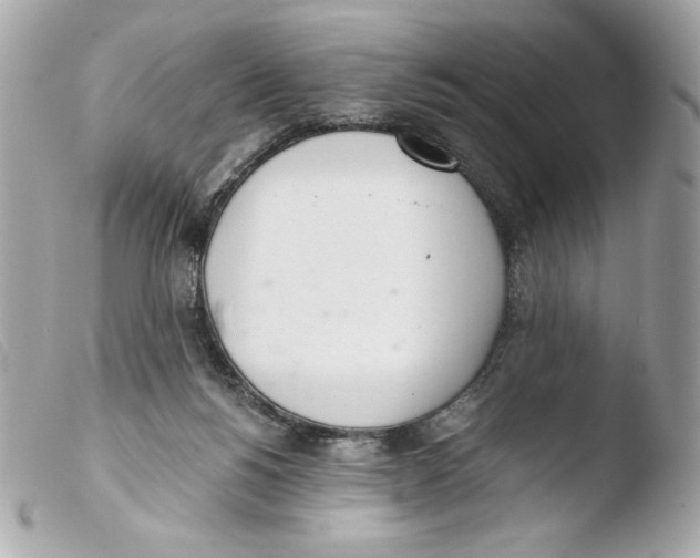 X0000103500168200810101054