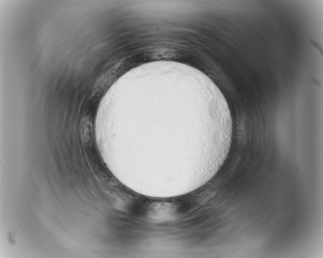 X0000103500169200810101054