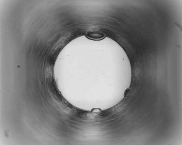 X0000103500172200810101054