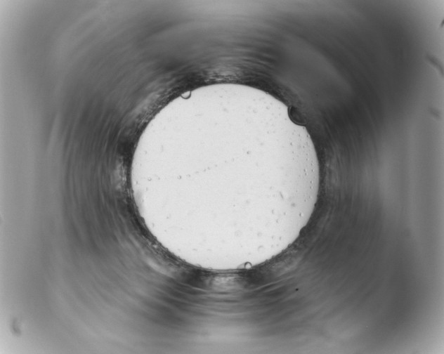 X0000103500173200810101054