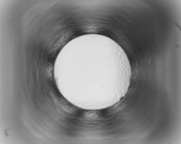 X0000103500175200810101055