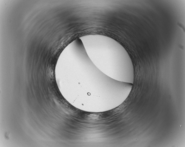 X0000103500176200810101055