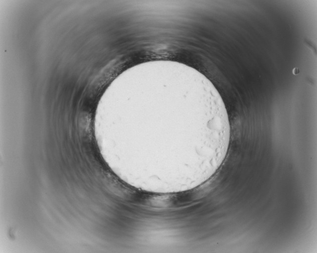 X0000103500178200810101055