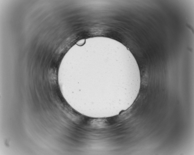 X0000103500179200810101055