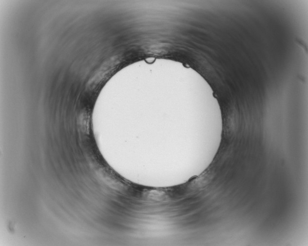 X0000103500180200810101055