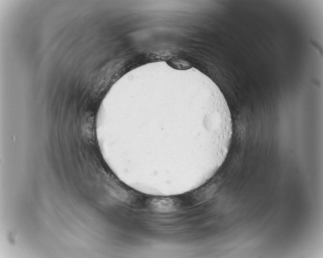 X0000103500181200810101055