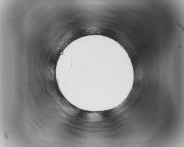 X0000103500183200810101055