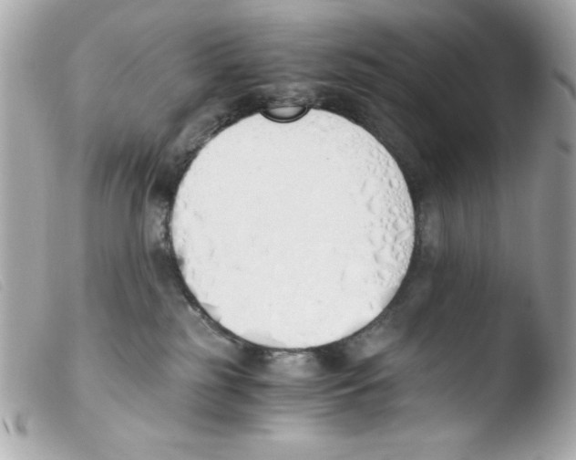 X0000103500185200810101055