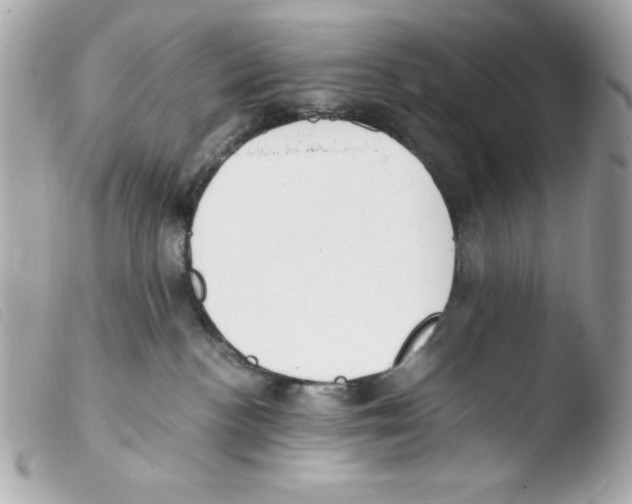 X0000103500188200810101055