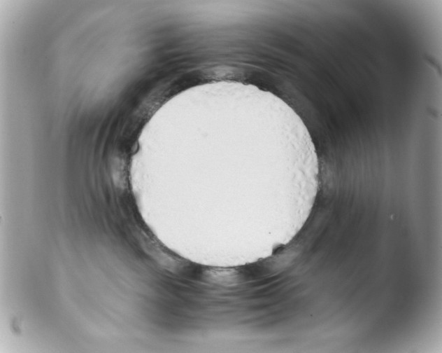 X0000103500189200810101055