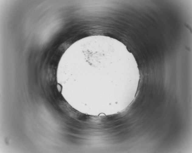 X0000103500190200810101055