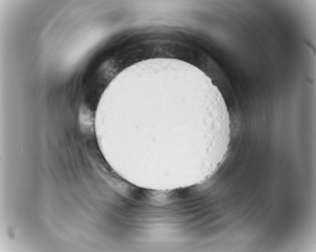 X0000103500191200810101055